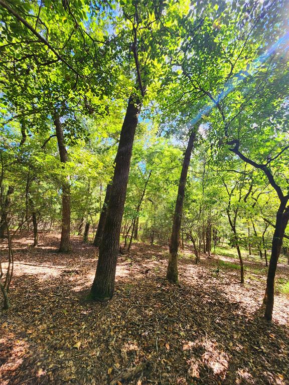 7376 Quail Hollow Court, Larue, Texas image 37