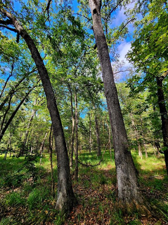 7376 Quail Hollow Court, Larue, Texas image 41