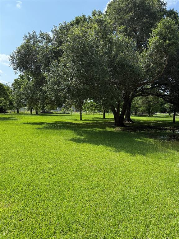 9166 Plantation Drive #C810A, West Columbia, Texas image 34