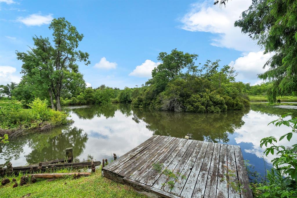 5221 Santo Park Road, Dickinson, Texas image 29