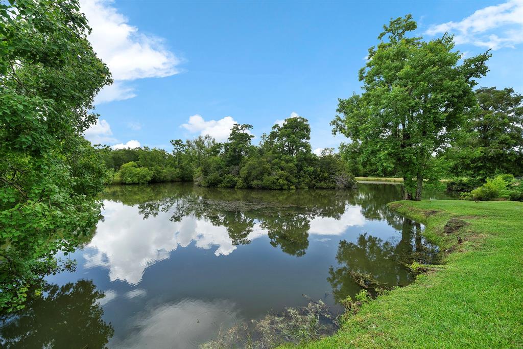 5221 Santo Park Road, Dickinson, Texas image 27