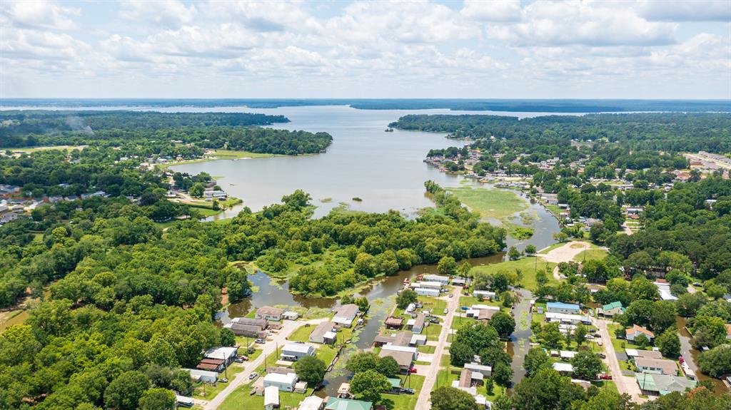 14909 Lake Par Circle Cir, Willis, Texas image 8