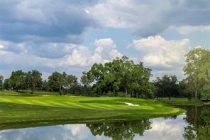 14909 Lake Par Circle Cir, Willis, Texas image 9