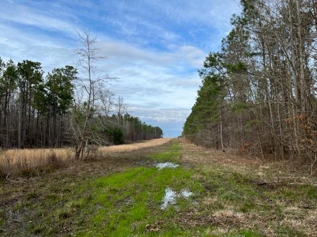 00 Fox Hunting Rd, Waskom, Texas image 7