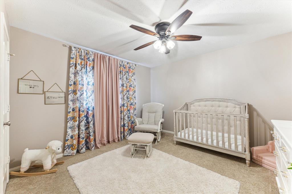 11303 Freestone Avenue, Pearland, Texas image 23