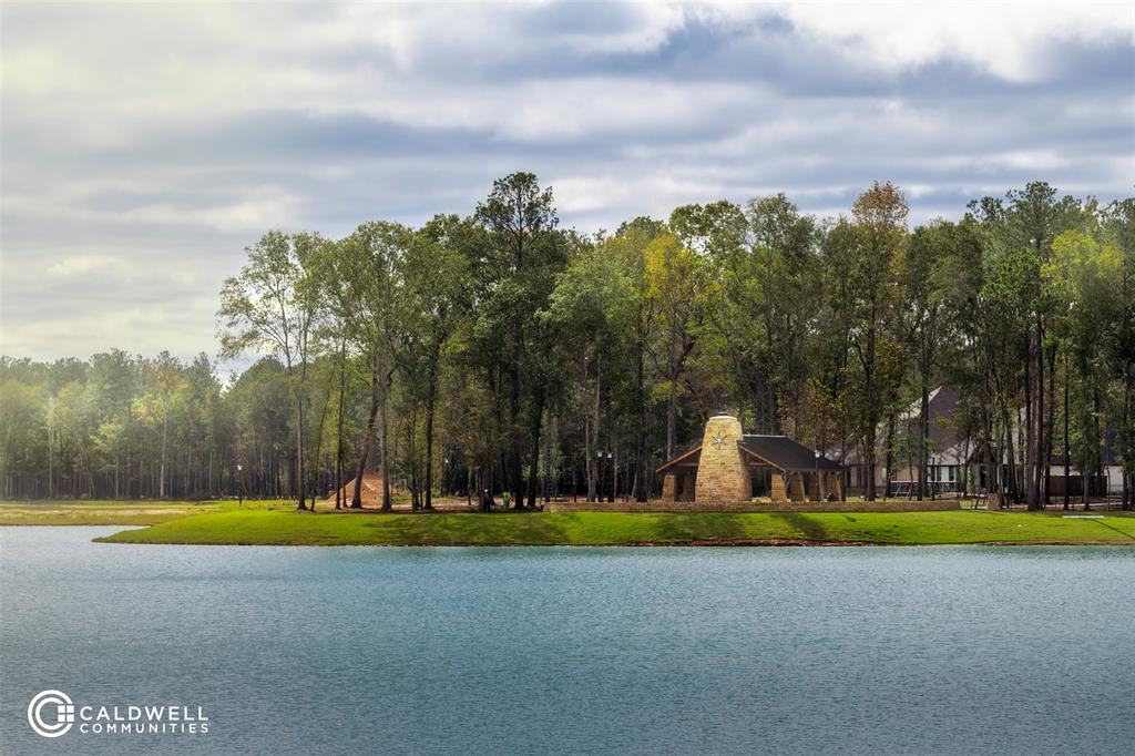 22070 Breakwater Lane, Porter, Texas image 30