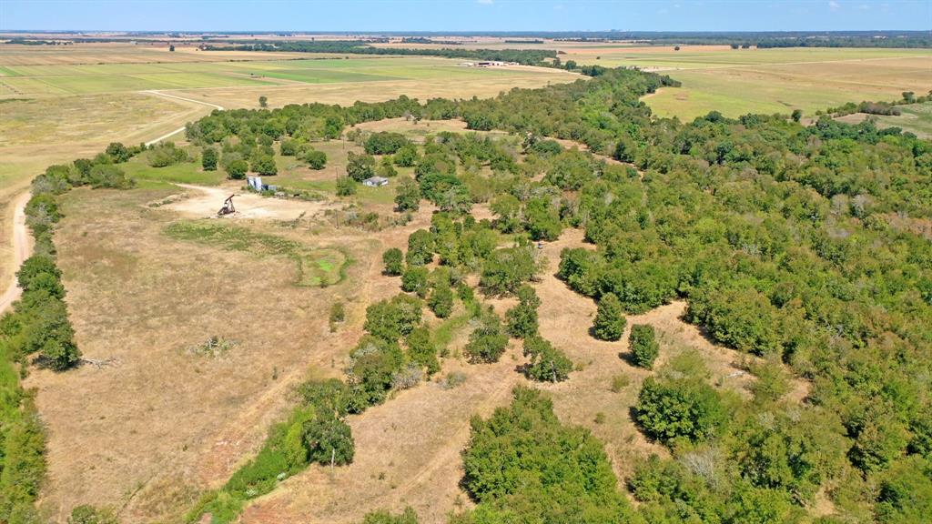 123.8 Ac County Road 443, Snook, Texas image 6