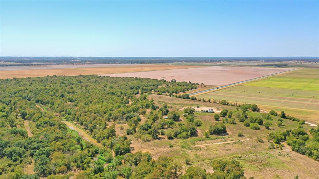 123.8 Ac County Road 443, Snook, Texas image 9