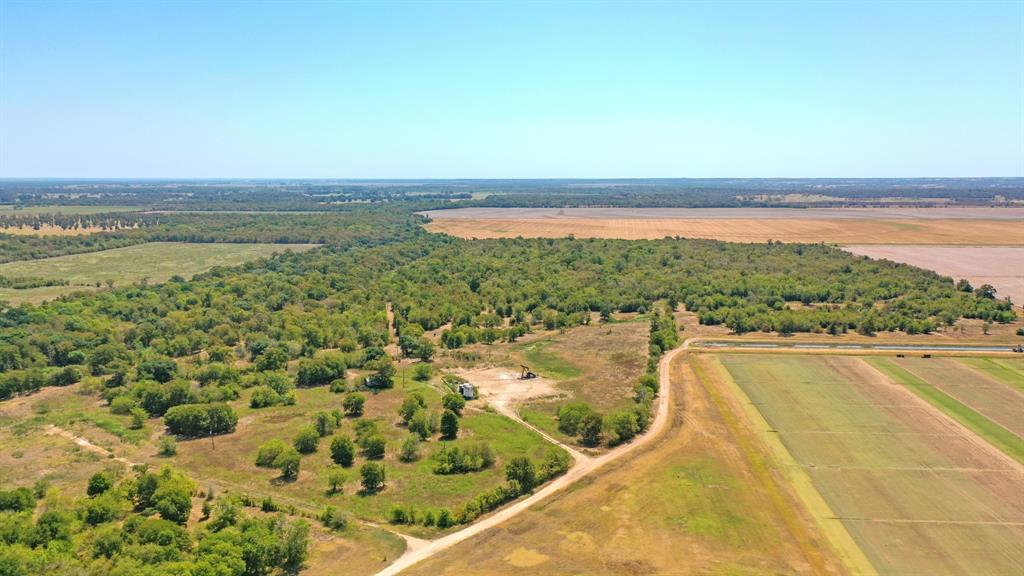 123.8 Ac County Road 443, Snook, Texas image 8