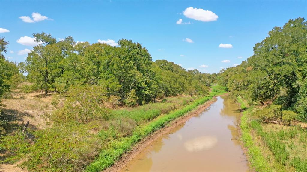 123.8 Ac County Road 443, Snook, Texas image 14