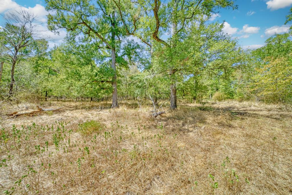 123.8 Ac County Road 443, Snook, Texas image 31