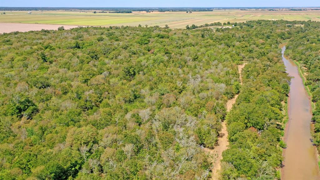 123.8 Ac County Road 443, Snook, Texas image 12