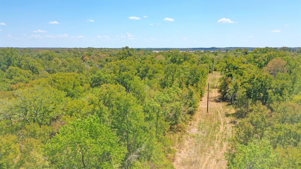 123.8 Ac County Road 443, Snook, Texas image 19