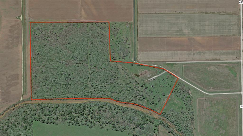 123.8 Ac County Road 443, Snook, Texas image 10