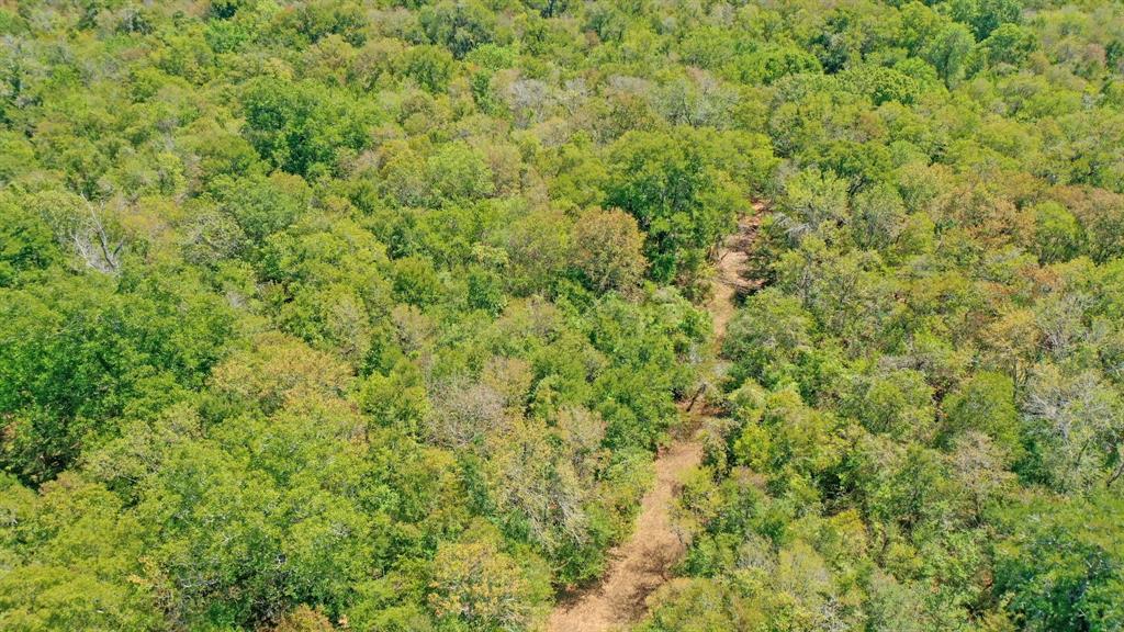 123.8 Ac County Road 443, Snook, Texas image 18