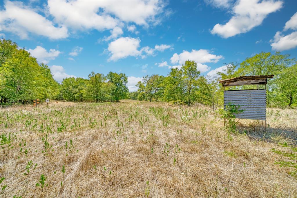 123.8 Ac County Road 443, Snook, Texas image 22