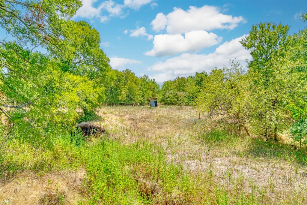 123.8 Ac County Road 443, Snook, Texas image 21