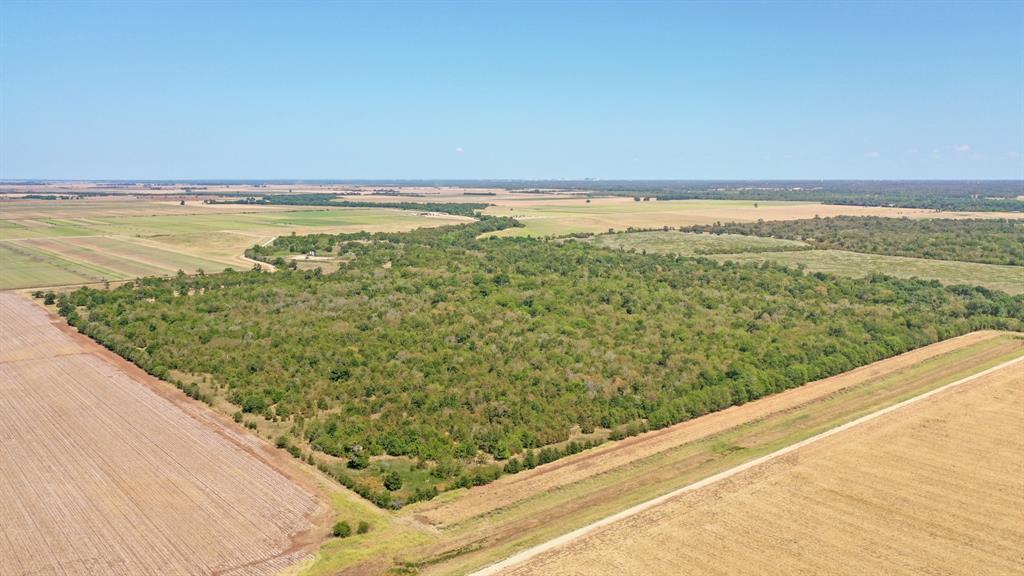 123.8 Ac County Road 443, Snook, Texas image 2