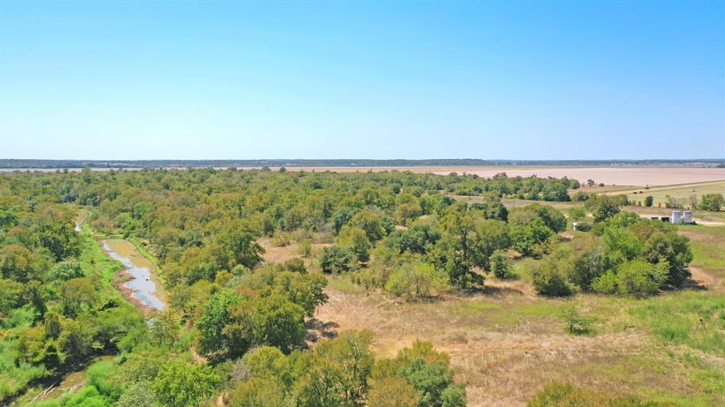 123.8 Ac County Road 443, Snook, Texas image 11