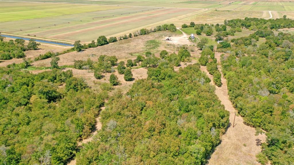 123.8 Ac County Road 443, Snook, Texas image 7