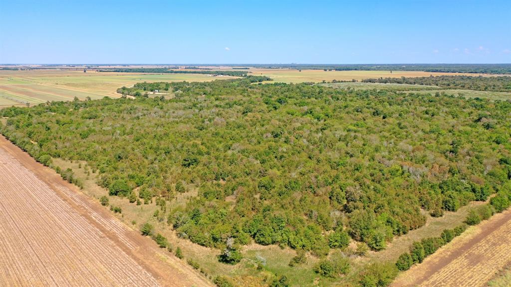 123.8 Ac County Road 443, Snook, Texas image 13