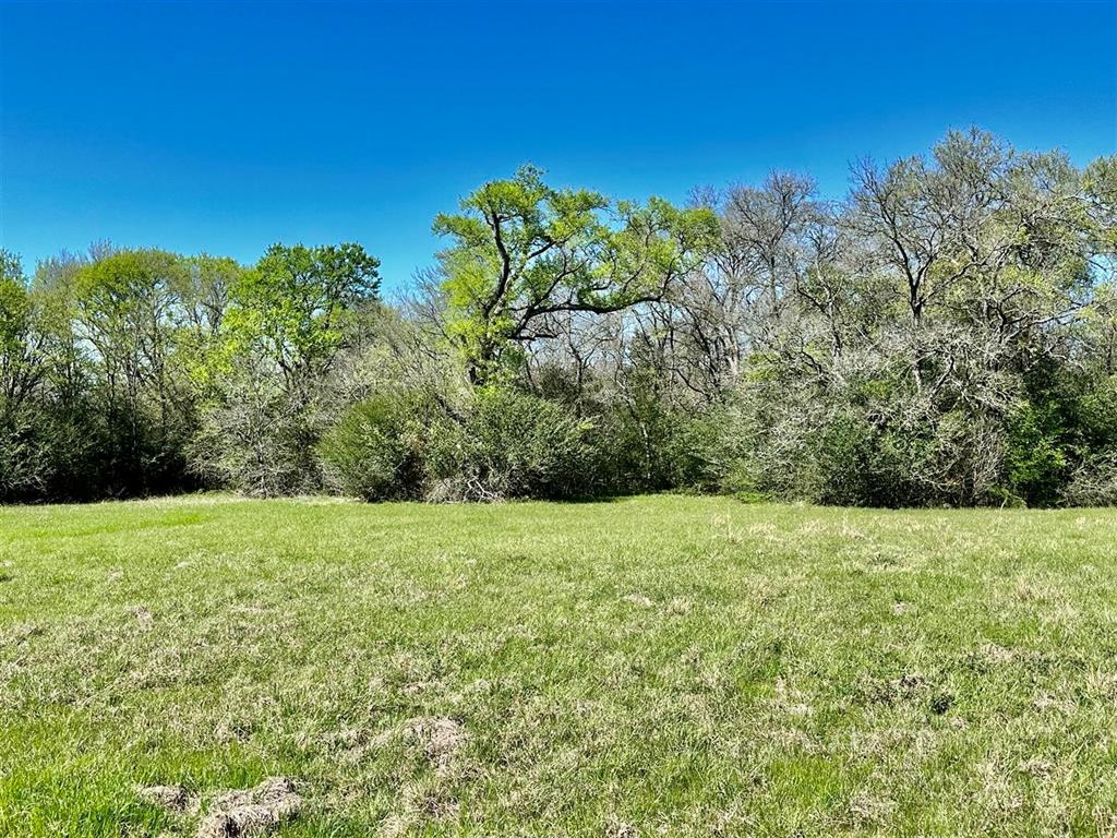 7922 Chockataw Lane, Navasota, Texas image 14