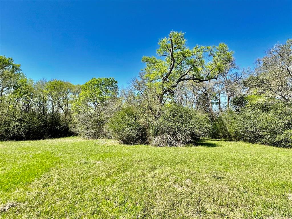 7922 Chockataw Lane, Navasota, Texas image 18