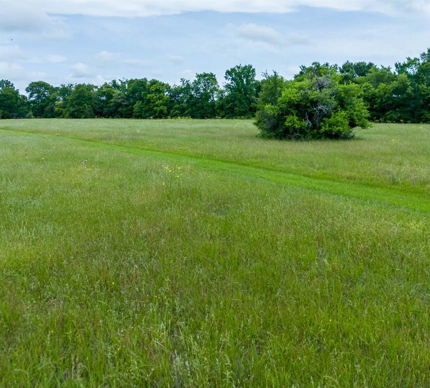 7922 Chockataw Lane, Navasota, Texas image 7