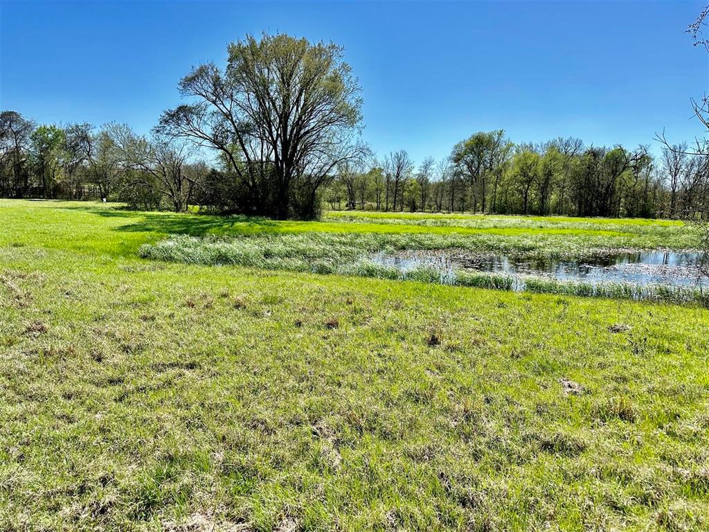 7922 Chockataw Lane, Navasota, Texas image 27