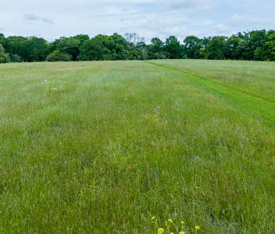 7922 Chockataw Lane, Navasota, Texas image 6