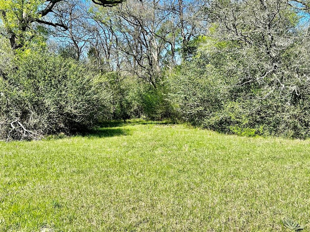 7922 Chockataw Lane, Navasota, Texas image 15