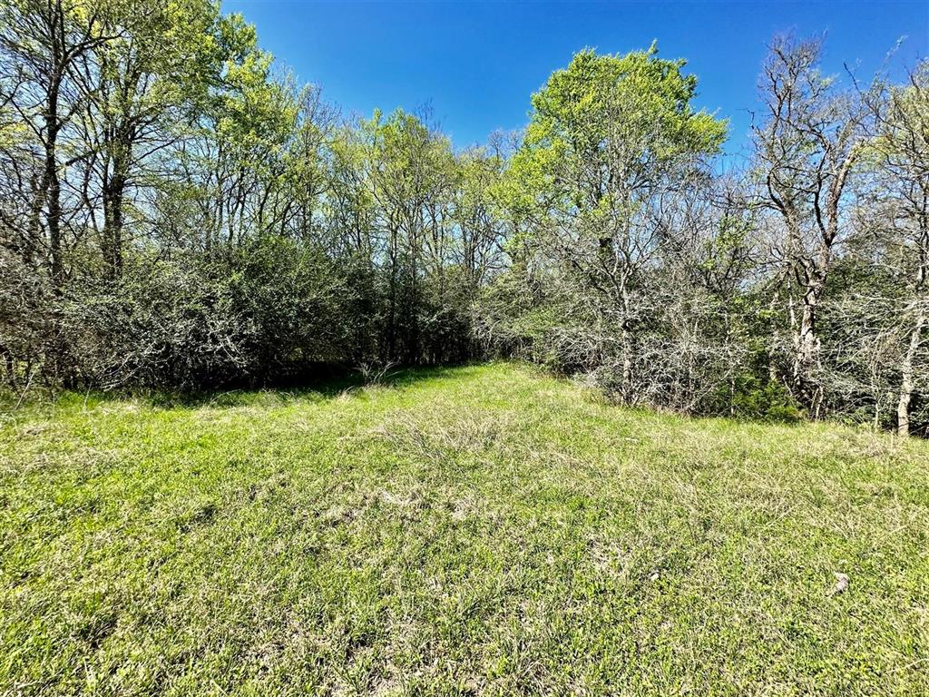7922 Chockataw Lane, Navasota, Texas image 20