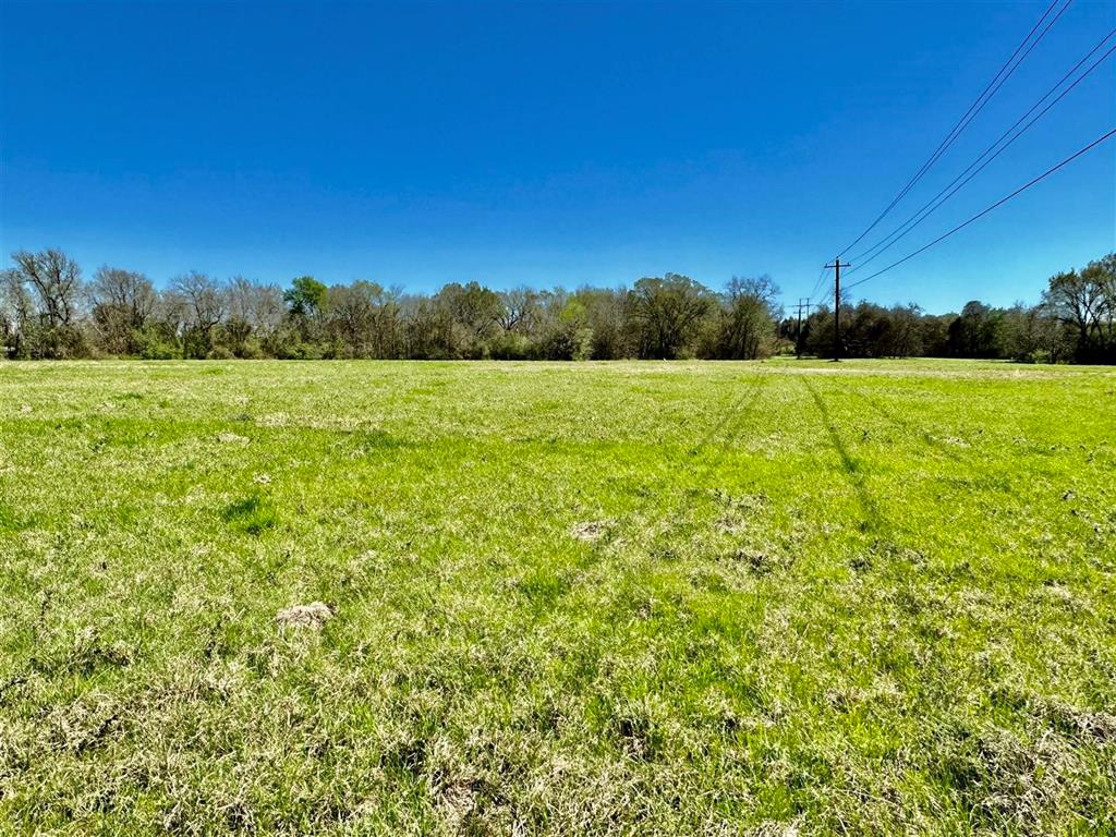 7922 Chockataw Lane, Navasota, Texas image 17