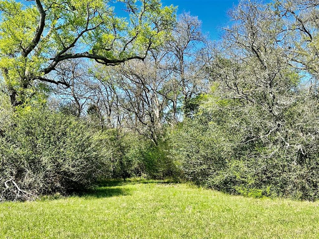 7922 Chockataw Lane, Navasota, Texas image 16