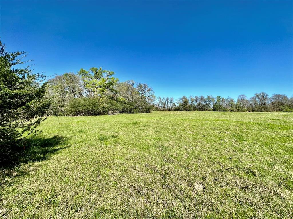 7922 Chockataw Lane, Navasota, Texas image 25