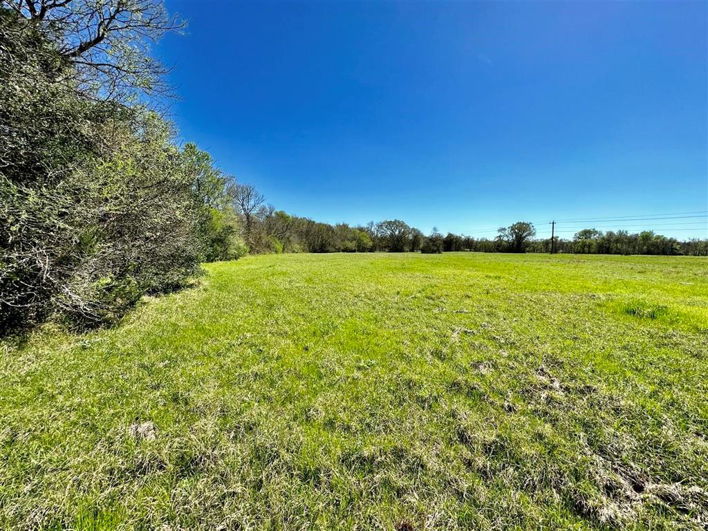 7922 Chockataw Lane, Navasota, Texas image 12