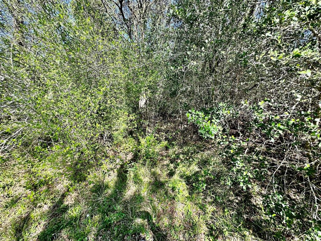 7922 Chockataw Lane, Navasota, Texas image 23