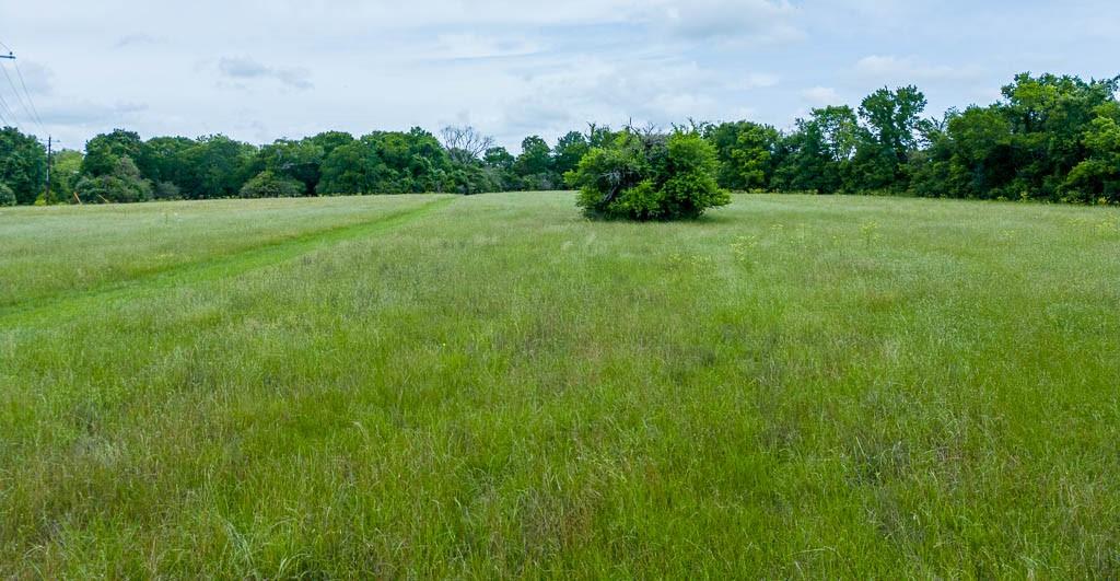 7922 Chockataw Lane, Navasota, Texas image 5