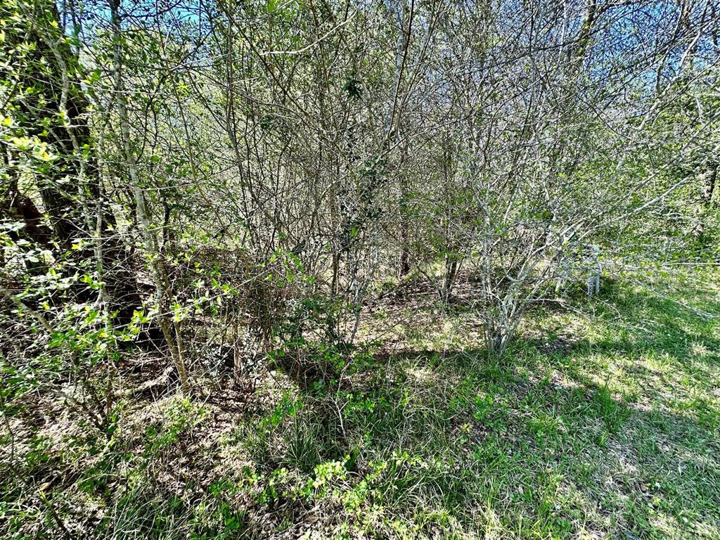7922 Chockataw Lane, Navasota, Texas image 24