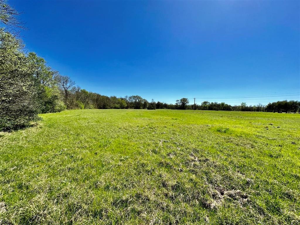 7922 Chockataw Lane, Navasota, Texas image 13