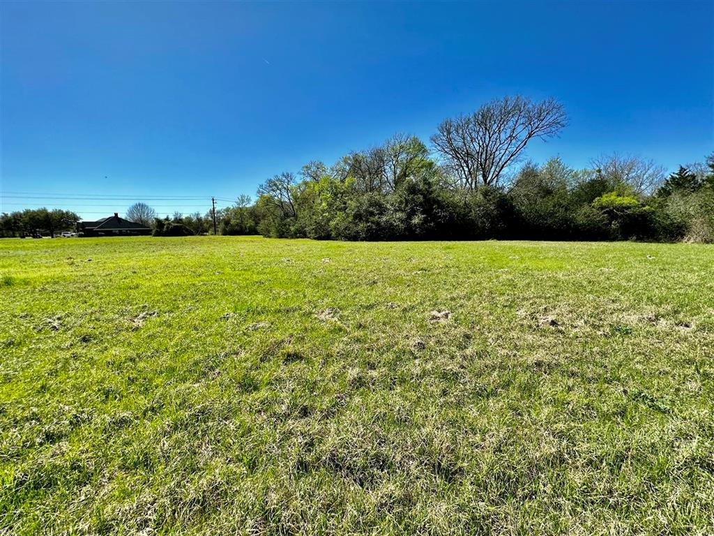 7922 Chockataw Lane, Navasota, Texas image 11