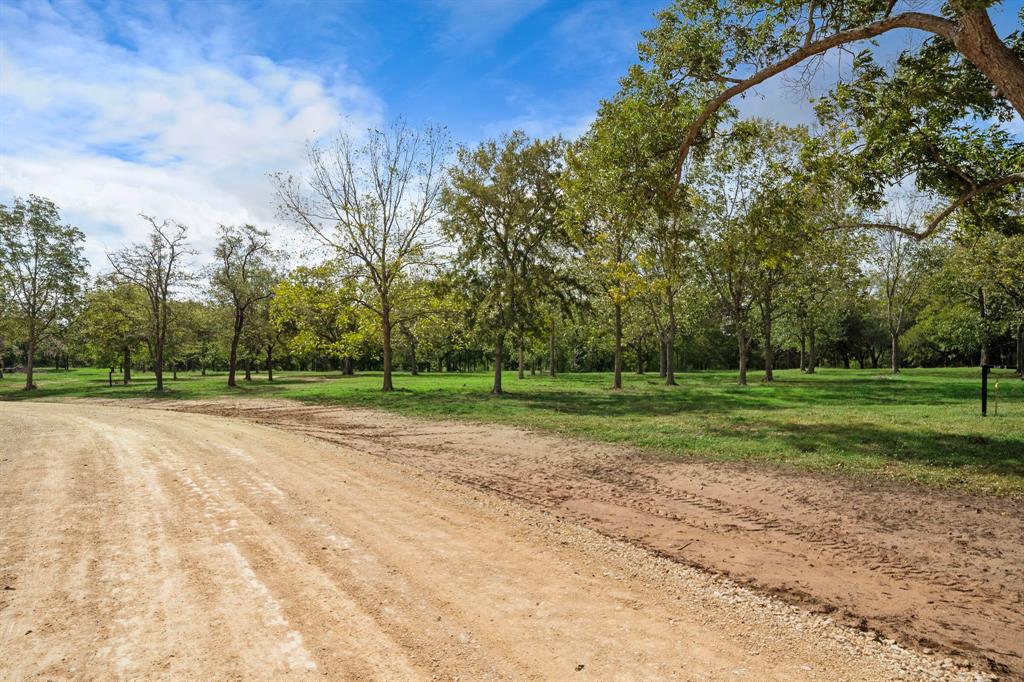 32919 Southern Manors Drive, Fulshear, Texas image 7