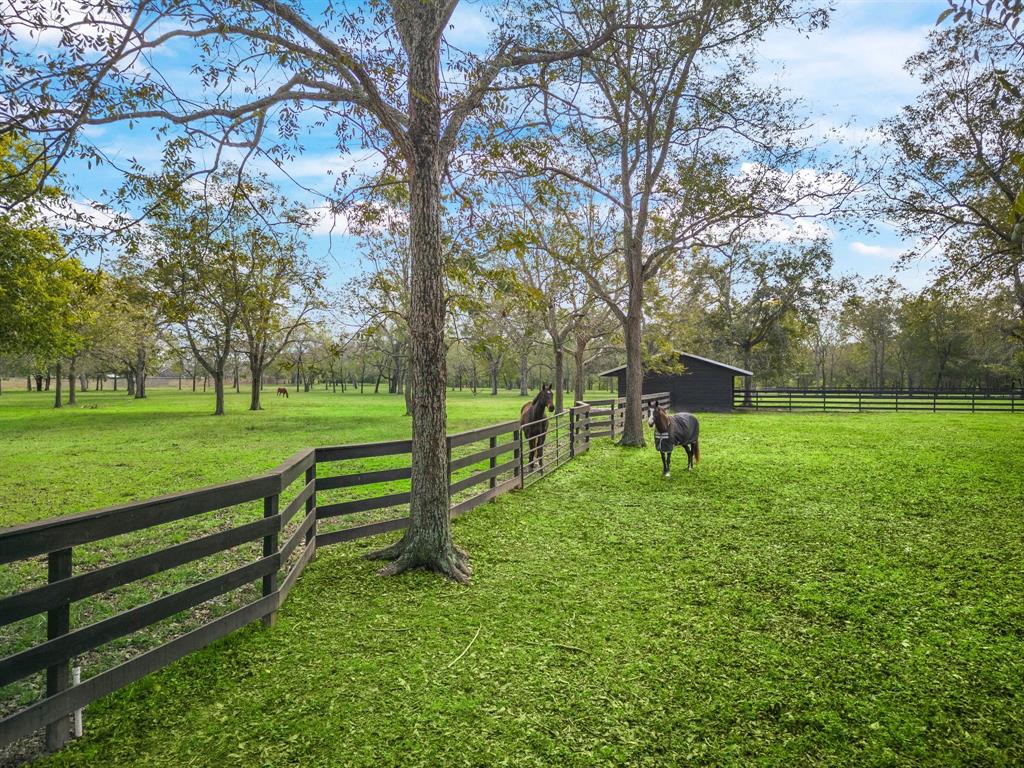 32919 Southern Manors Drive, Fulshear, Texas image 9