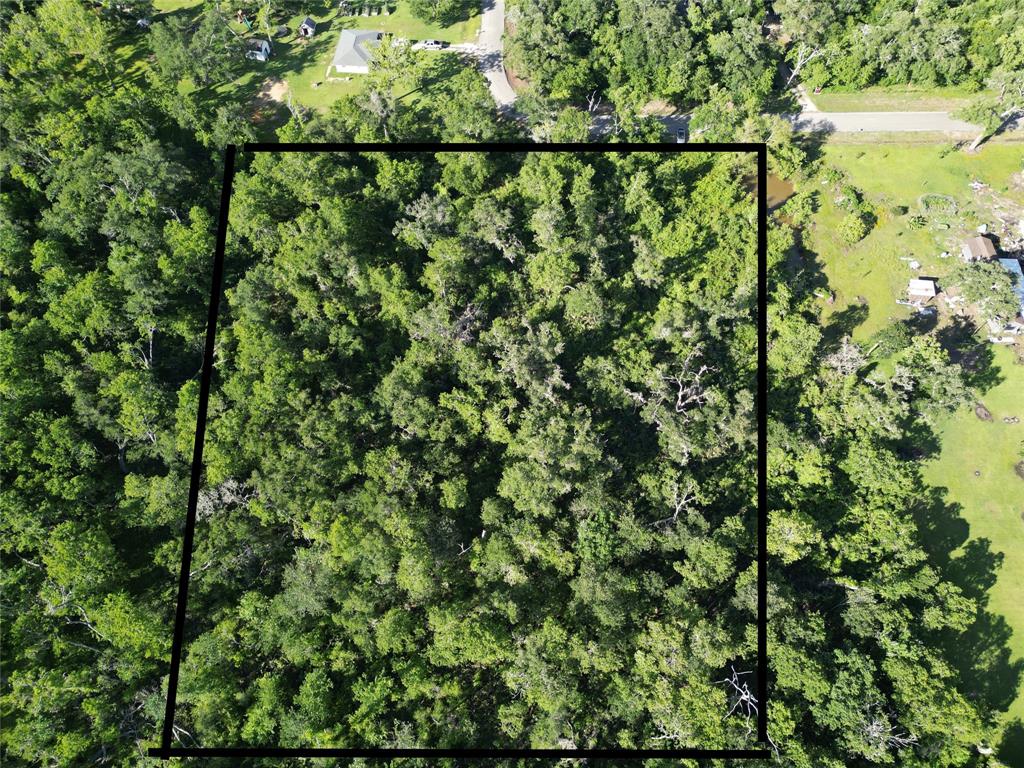 2743 County Road 686, Brazoria, Texas image 2