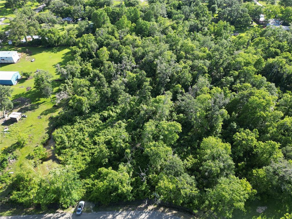 2743 County Road 686, Brazoria, Texas image 3