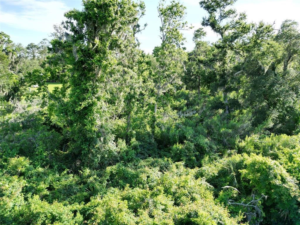 2743 County Road 686, Brazoria, Texas image 6