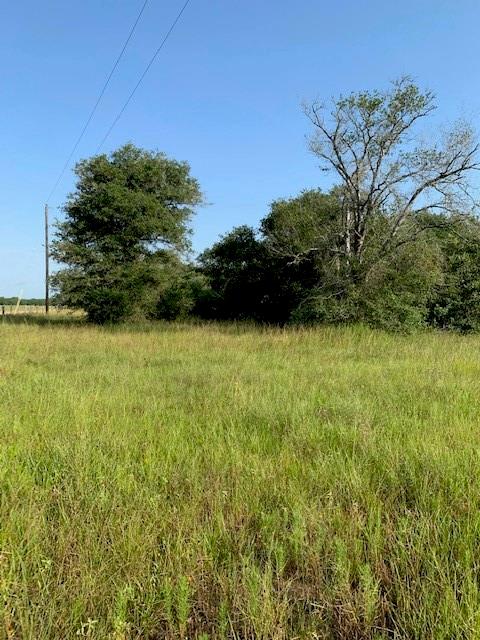 13822 County Road 394 Rd, El Campo, Texas image 3