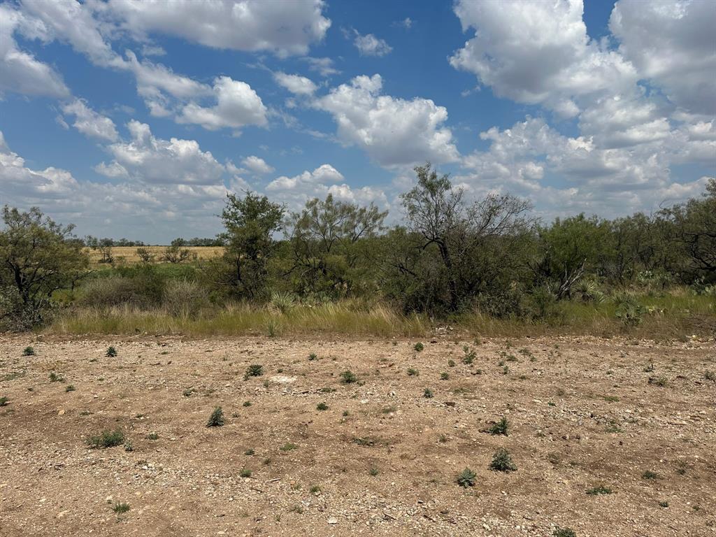 3255 Cr 340, Lohn, Texas image 14