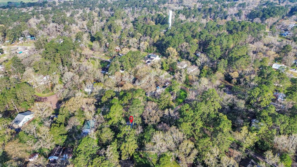 16777 Stinson Lane, Montgomery, Texas image 6