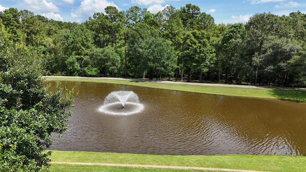 10332 Hunter Creek Lane, Conroe, Texas image 32
